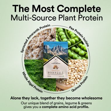 Wellbeing Nutrition: Superfood Plant Protein - Vanilla Caramel - 500 gm