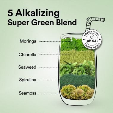 Wellbeing Nutrition: Superfood Plant Protein - Vanilla Caramel - 500 gm