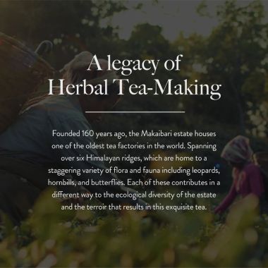 Wellbeing Nutrition: Slim Tea with Garcinia & Green Coffee Beans - 40gm