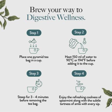 Wellbeing Nutrition: Digest Green Tea with 8B CFU, Ginger, Fennel Seeds - 40gm