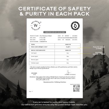 Wellbeing Nutrition: Pure & Original Himalayan Shilajit Resin 20g