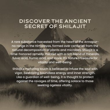 Wellbeing Nutrition: Pure & Original Himalayan Shilajit Resin 20g