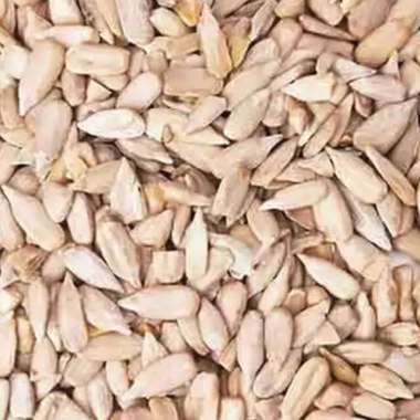 Nourish You: Organic Roasted Sunflower Seeds - Rich in Protein , Healthy Snacks , Gluten free -Pack of 2 X 100g each