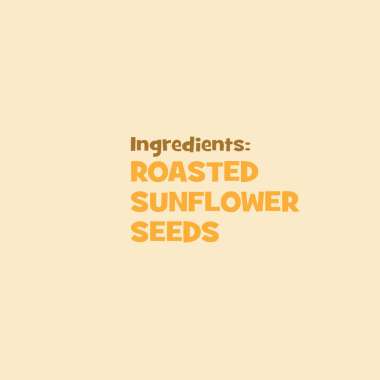 Nourish You: Organic Roasted Sunflower Seeds - Rich in Protein , Healthy Snacks , Gluten free -Pack of 2 X 100g each