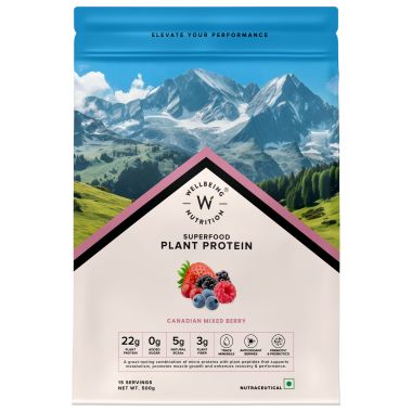 Wellbeing Nutrition: Organic Vegan Plant Protein Isolate Powder  22g Protein, 5g BCAA  No Bloating  Easy to Digest  Antioxidants & Trace Minerals  Canadian Mixed Berry - 500gm