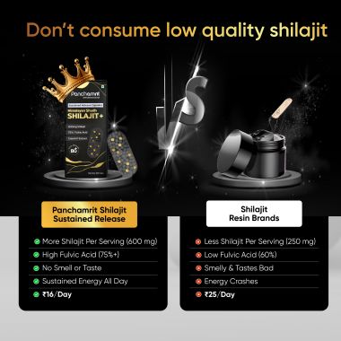 Panchamrit: 8 hrs Sustained Release Capsule 500mg Himalayan Shilajit+ with Gremin® Extract  Daily Energy Boost, Faster Muscle Recovery  2*60 caps