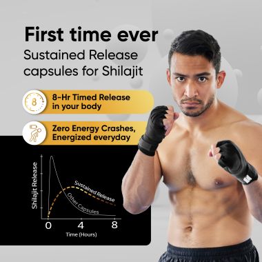 Panchamrit: 8 hrs Sustained Release Capsule 500mg Himalayan Shilajit+ with Gremin® Extract Daily Energy Boost, Faster Muscle Recovery  60 caps