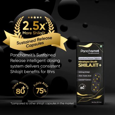Panchamrit: 8 hrs Sustained Release Capsule 500mg Himalayan Shilajit+ with Gremin® Extract  Daily Energy Boost, Faster Muscle Recovery  2*60 caps