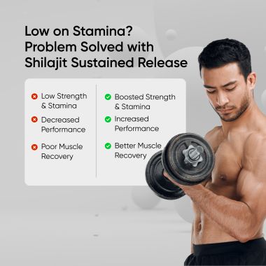 Panchamrit: 8 hrs Sustained Release Capsule 500mg Himalayan Shilajit+ with Gremin® Extract  Daily Energy Boost, Faster Muscle Recovery  2*60 caps
