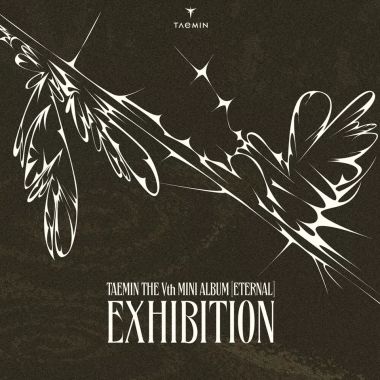 Cokodive: Taemin - Eternal The 5Th Mini Album Exhibition Official Md Keyring...