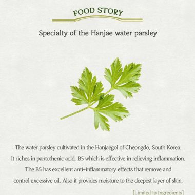 Skinfood: Pantothenic Water Parsley Refresh Cleansing Foam150Ml