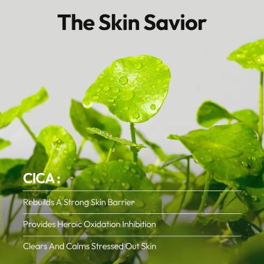 Skinfood: SHINE MUSCAT CICA DAILY MASK