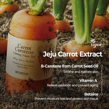 Skinfood: CARROT CAROTENE DAILY MASK