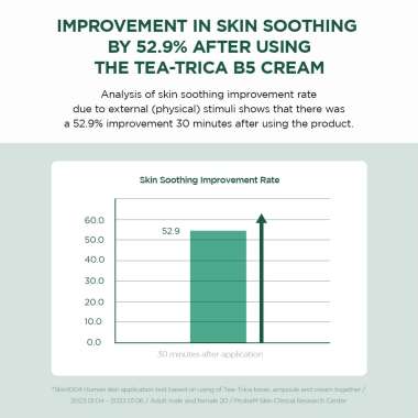 SKIN1004: Centella Tea-Trica B5 Cream 75ml