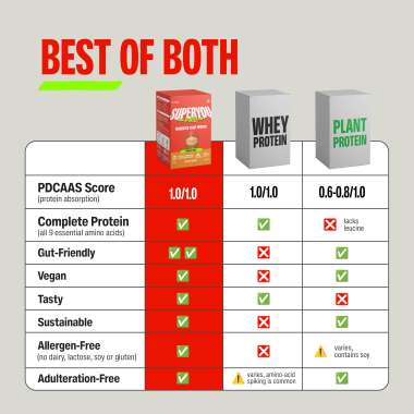 SuperYou: Pro Fermented Yeast Protein(Pack of 8) | 24gm Protein| Masala Chai  | PDCAAS of 1 - 288gm