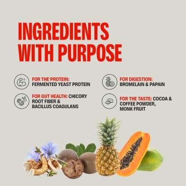 SuperYou: Pro Fermented Yeast Protein(Pack of 8) | 24gm Protein| Masala Chai  | PDCAAS of 1 - 288gm