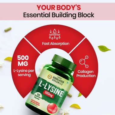Vlado's Himalayan Organics: L-Glycine 500mg Supplement I Supports Healthy Sleep -120 Veg Capsules