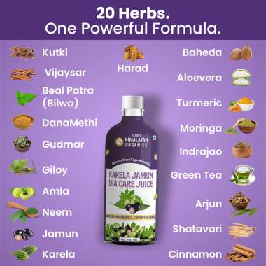 Vlado's Himalayan Organics: Karela Jamun Diabetic Care Juice , Diabetic & Sugar Control - 1L