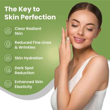 Vlado's Himalayan Organics: Hyaluronic Acid 100mg Supplement | Support Healthy Connective Tissue and Joints - 90 Veg Capsules