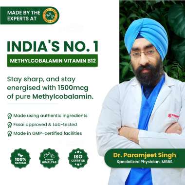Vlado's Himalayan Organics: Vitamin B12 Supplements - Methylcobalami 12 Active form of Methylcobalamin I 100% RDA- 90 Veg Tablets