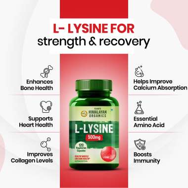 Vlado's Himalayan Organics: L-Glycine 500mg Supplement I Supports Healthy Sleep -120 Veg Capsules