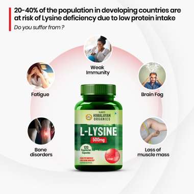 Vlado's Himalayan Organics: L-Glycine 500mg Supplement I Supports Healthy Sleep -120 Veg Capsules