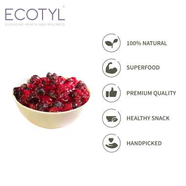 Ecotyl: Blueberres & Dried Cranberries Combo | Healthy Snacks | Dried Fruits | 150gm Each