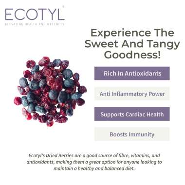 Ecotyl: Blueberres & Dried Cranberries Combo | Healthy Snacks | Dried Fruits | 150gm Each