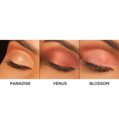 Renee Cosmetics: Fab 3in1 Eyeshadow - 4.5gm