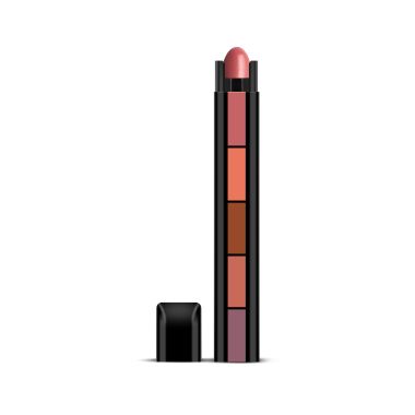 Renee Cosmetics: Fab 5-in-1 Nude Lipstick - 7.5gm