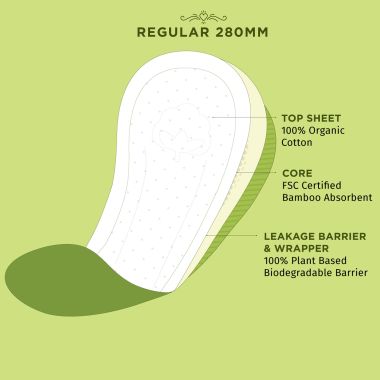 Pee Safe: 100% Organic Cotton, Biodegradable Sanitary Pads - Regular  (Pack of 10)