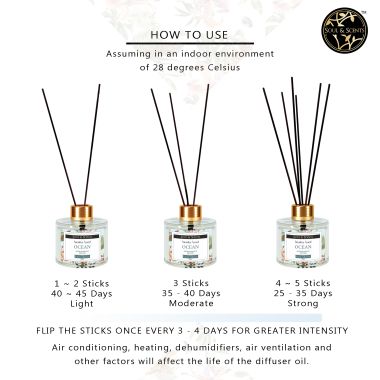 Soul & Scents: Ocean Reed Diffuser 120ml