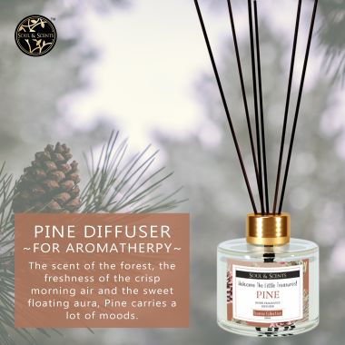 Soul & Scents: Pine Reed Diffuser 120ml