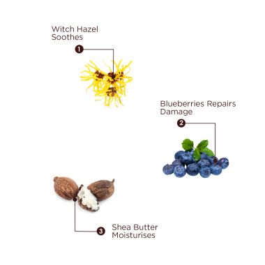 The Skin Story: Shea Butter & Blueberry Facewash - Revitaliser - 100 ml
