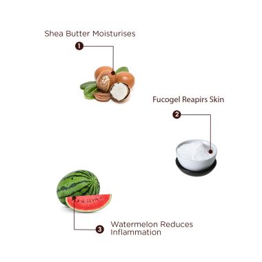 The Skin Story: Daily Repair Moisturising Cream - 50gm