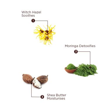 The Skin Story: Moringa Care Duo ( Face Wash + Face Pack)