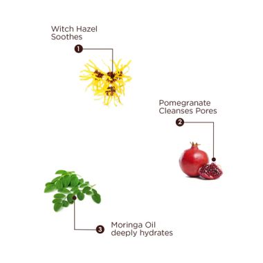 The Skin Story: CTM Pack ( Gentle Cleanser - 100ml + Hydrating and Pore Minimizing Toner - Witch Hazel - No Alcohol - 100 ml + Nourishing & Moisturising Cream - 50gm )