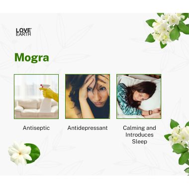 Love Earth: Reed Diffuser (Mogra) - 30ml