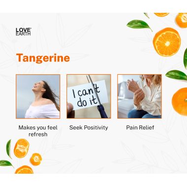 Love Earth: Reed Diffuser (Tangerine) - 30ml