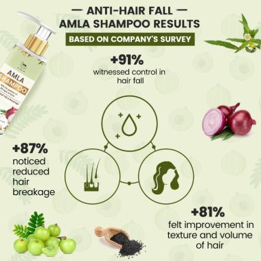 TNW - The Natural Wash: Amla Shampoo (Reduces Hair Fall & Breakage) - 200ml