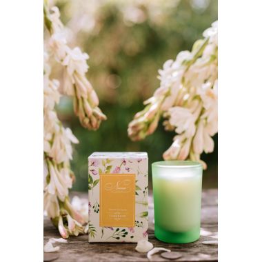 Niana: Tuberose Candle - 300gm