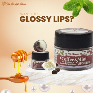 The Herbal Blend: Coffee Mint Lip Scrub - 10gm