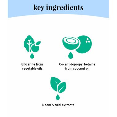 Born Good: Plant Based Anti Microbial Liquid Detergent  - 1 Ltr