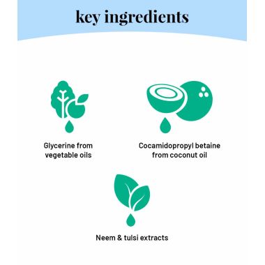 Born Good: Plant Based Anti Microbial Liquid Detergent Refill - 1 Ltr