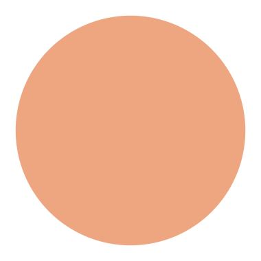 Color Chemistry: Cream Concealer - Bamboo -  2.98 gm
