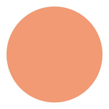 Color Chemistry: Cream Concealer - Savanna - 2.98 gm