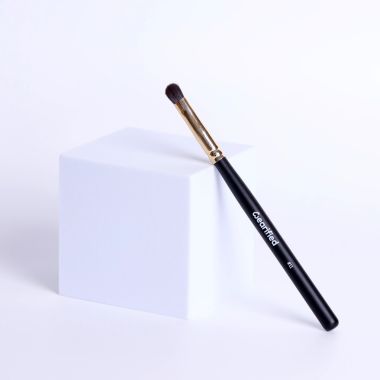 Wearified: Absolute Essentials Makeup Brushes - Set Of 4 for eye shadow