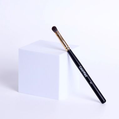 Wearified: Absolute Essentials Makeup Brushes - Set Of 12 with Face and Eyes with Transparent Pouch