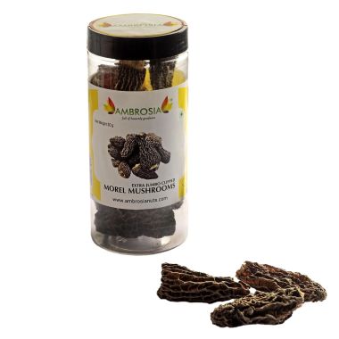 Ambrosia: Dried Morel Mushrooms Jumbos- 30g