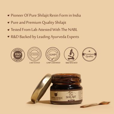 UPAKARMA: Ayurveda Shilajeet/Shilajit Resin - 15gm